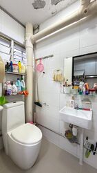 Blk 239 Bukit Panjang Ring Road (Bukit Panjang), HDB Executive #558575771